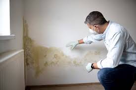 Why You Should Choose Our Mold Remediation Services in Lady Lake, FL